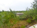 resIMG_20180625_164004_P6250581.JPG